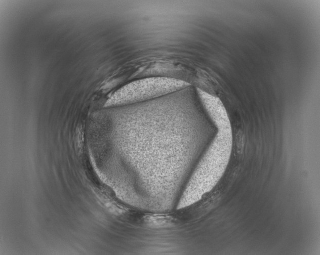 X0000078000372200611251443
