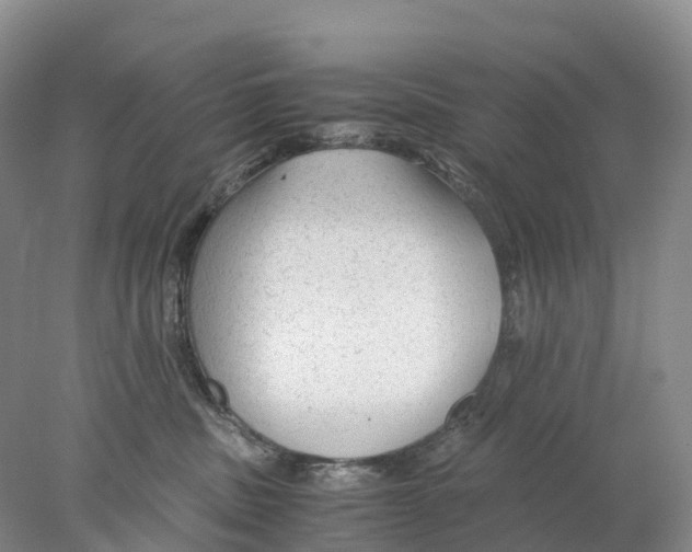 X0000078000379200611251443
