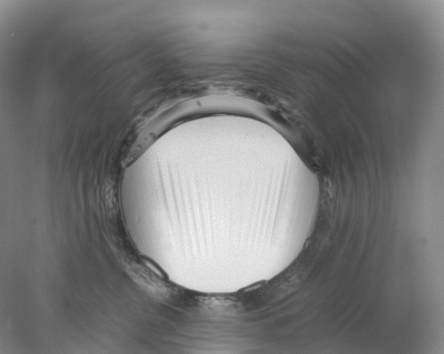 X0000078000380200611251443