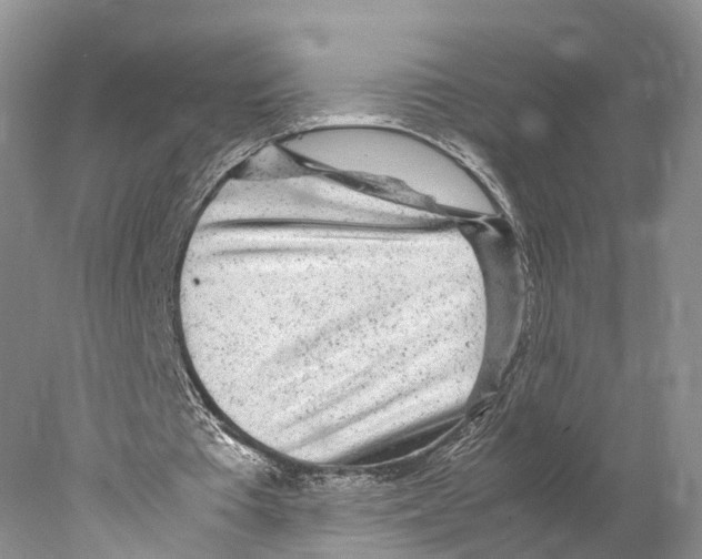 X0000078000385200611251443