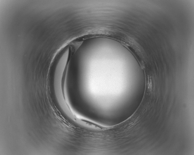 X0000078000388200611251443
