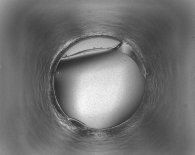 X0000078000395200611251443