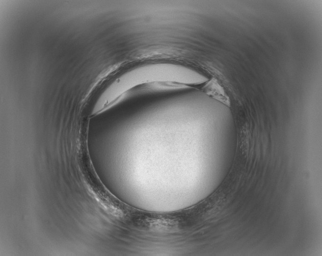 X0000078000400200611251442