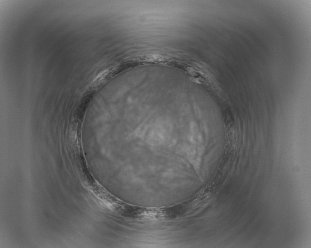 X0000078000415200611251442