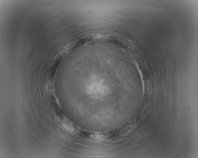 X0000078000419200611251442