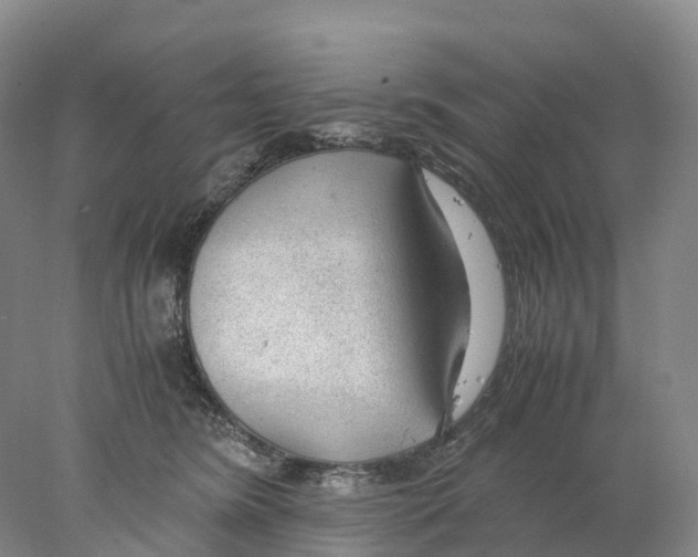 X0000078000420200611251442