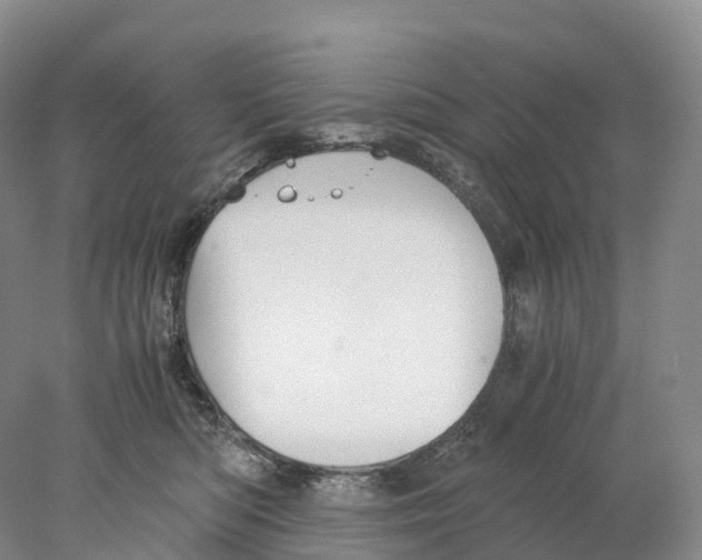 X0000078000422200611251442