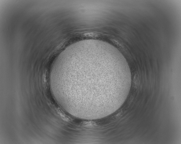 X0000078000424200611251442
