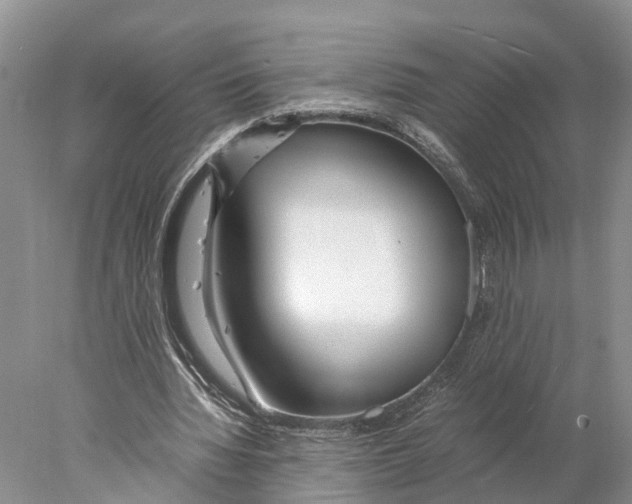 X0000078000436200611251441