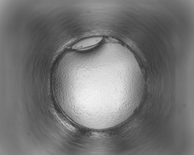 X0000078000442200611251441
