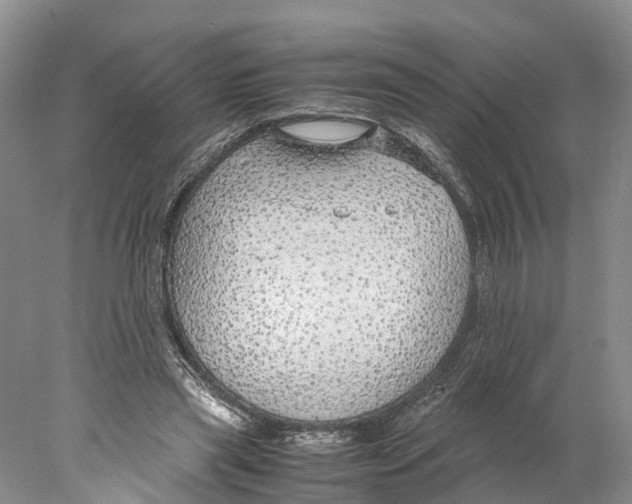 X0000078000445200611251441