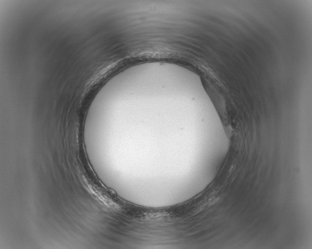 X0000078000446200611251441