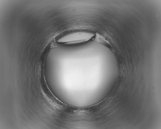 X0000078000448200611251441