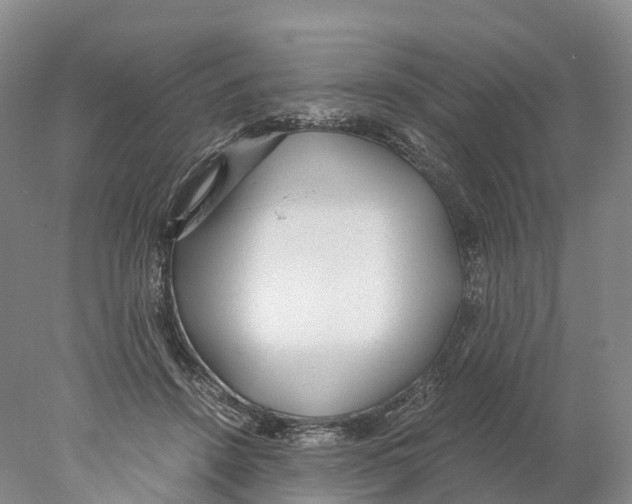 X0000078000456200611251442