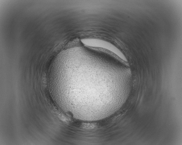 X0000078000469200611251442