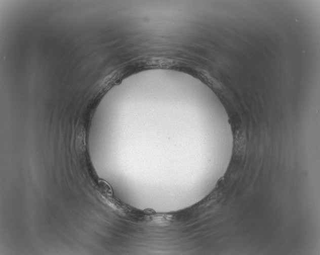 X0000078000474200611251442