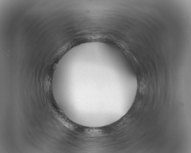 X0000078000476200611251442