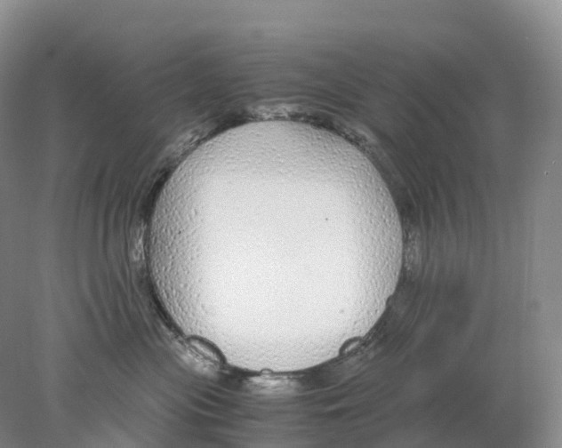 X0000078000477200611251442