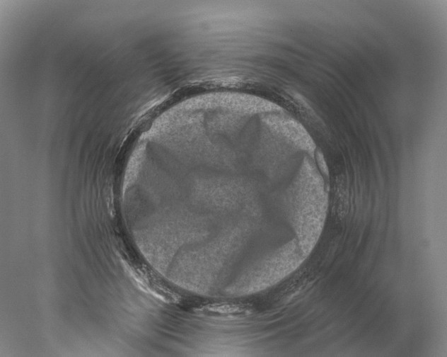 X0000078000500200611251441