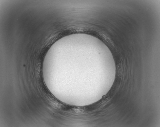 X0000078000509200611251441