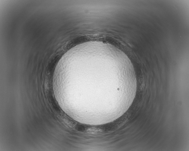 X0000078000515200611251441