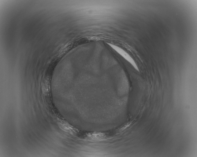 X0000078000517200611251441