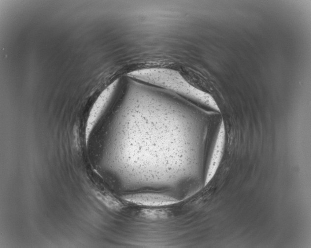 X0000078000520200611251440