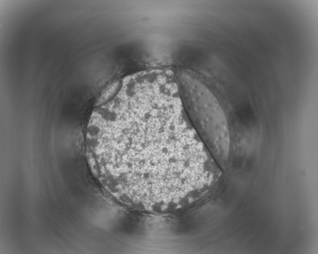 X0000078000523200611251440