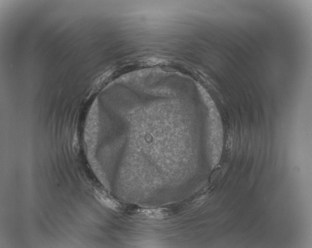 X0000078000524200611251440