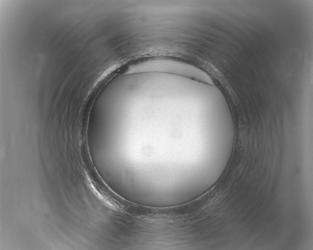 X0000078000530200611251440