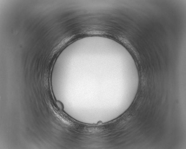 X0000078000533200611251440