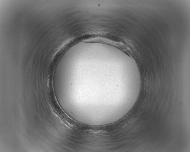 X0000078000539200611251440