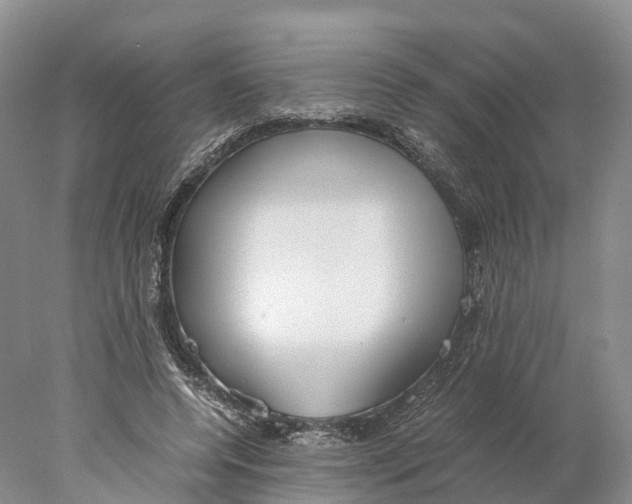 X0000078000544200611251440