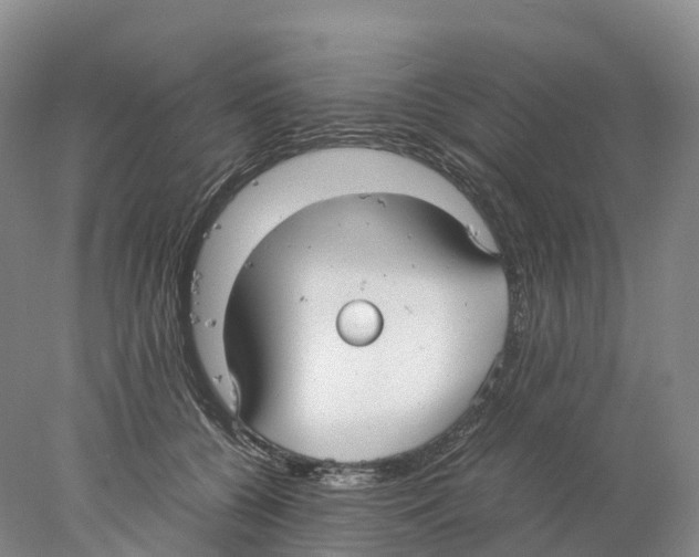 X0000078000560200611251440