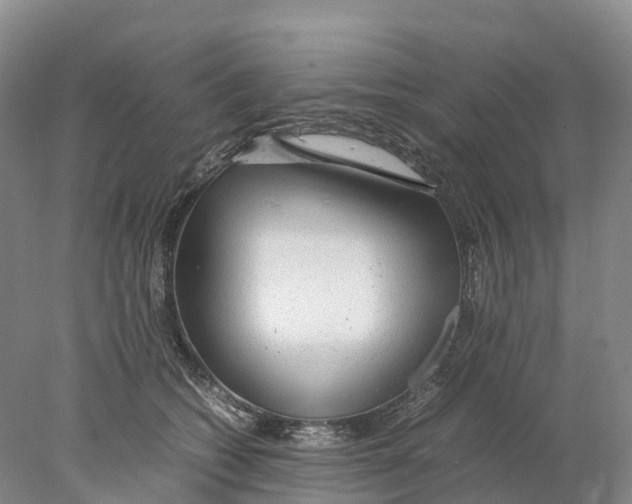 X0000078000562200611251440