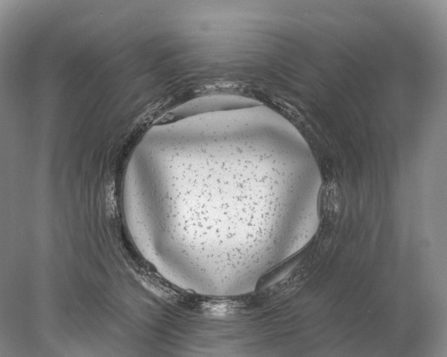 X0000078000564200611251440