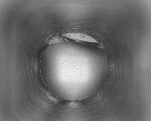 X0000078000566200611251440