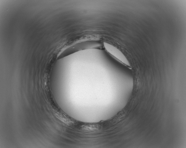 X0000078000567200611251440