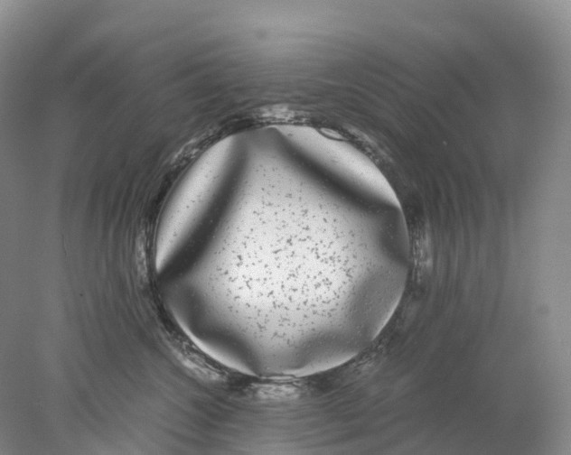 X0000078000572200611251440