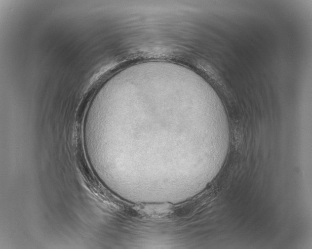 X0000078000583200611251439