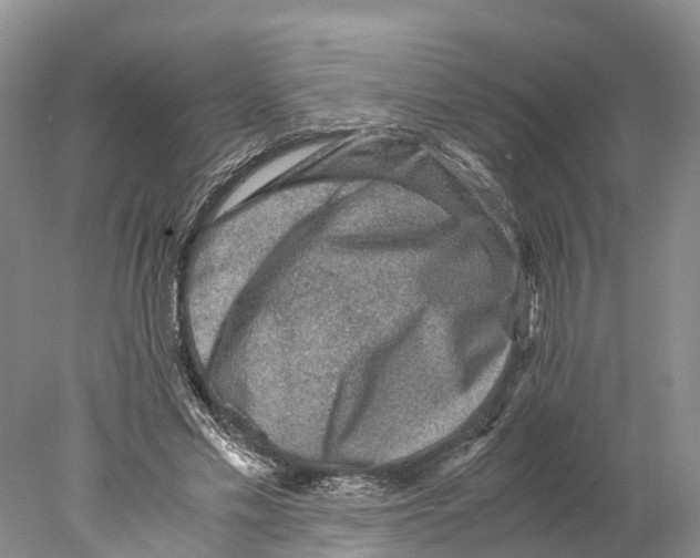 X0000078000589200611251439