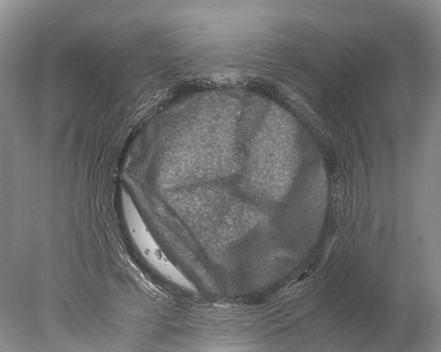 X0000078000593200611251439