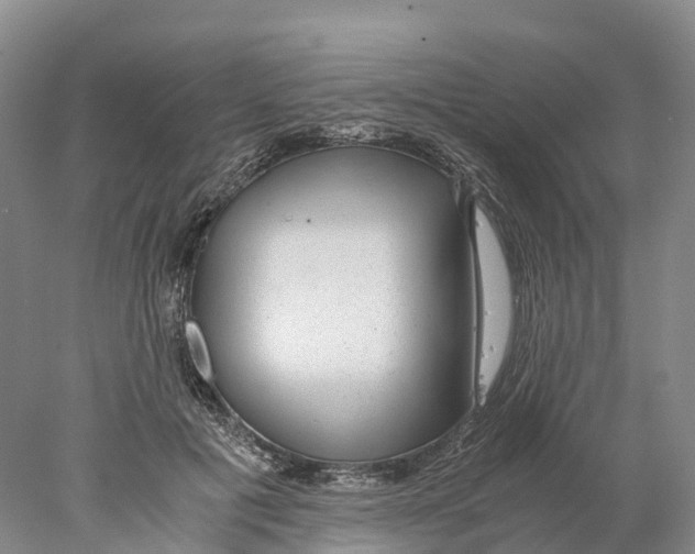 X0000078000601200611251439