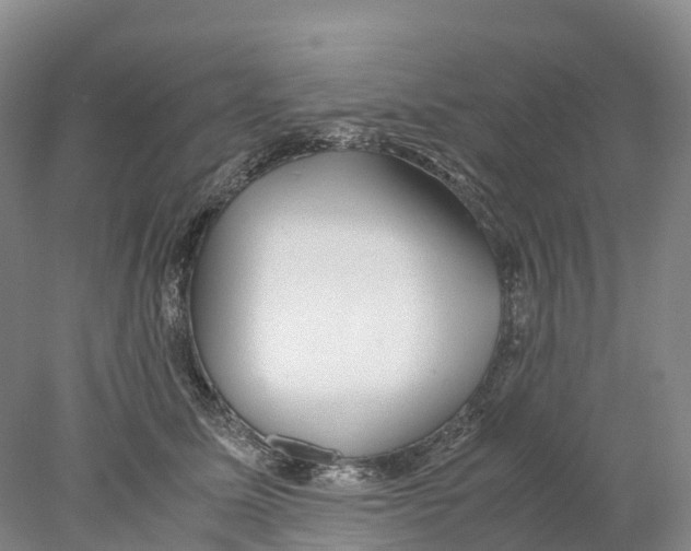 X0000078000611200611251439