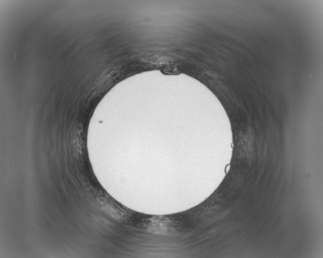 X0000078000612200611251439