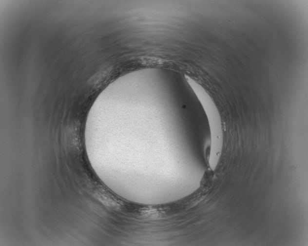 X0000078000616200611251439