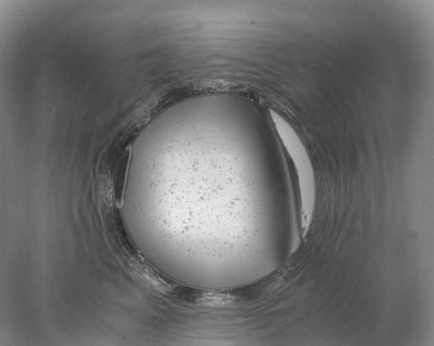 X0000078000617200611251439