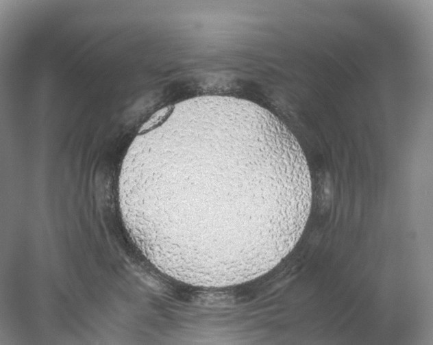 X0000078000619200611251439