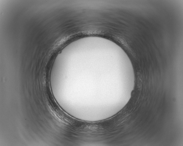 X0000078000631200611251438
