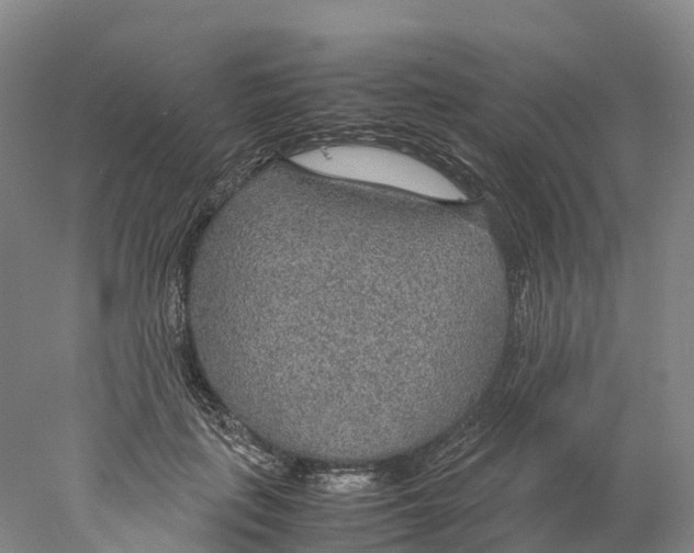 X0000078000651200611251438